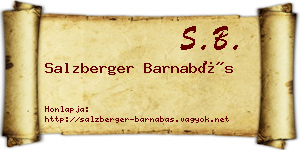 Salzberger Barnabás névjegykártya
